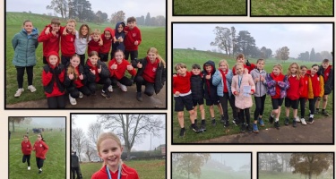 Yr 5 & 6 - Cross Country Festival